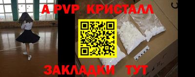 скорость Кингисепп